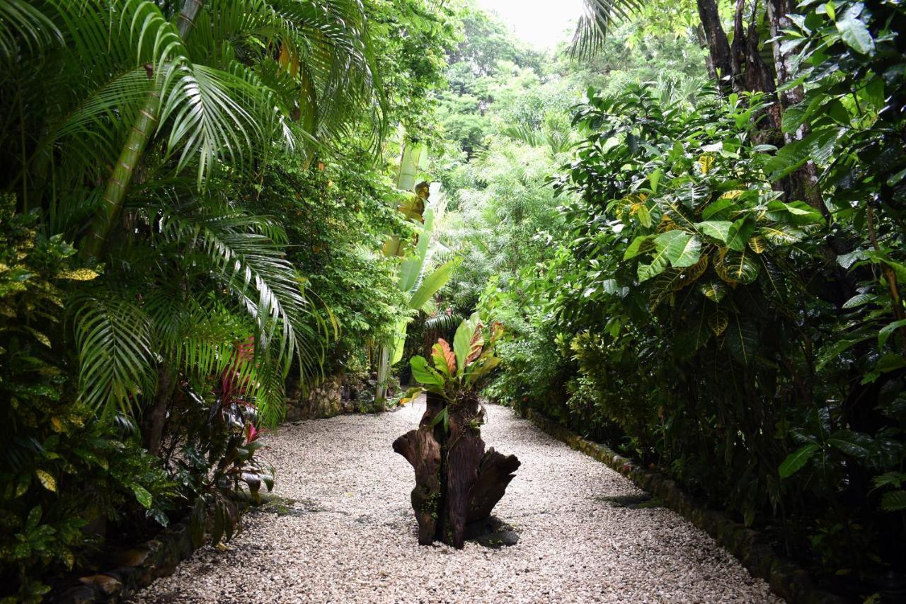 Pachamama Lodge Playa Santa Teresa  Buitenkant foto